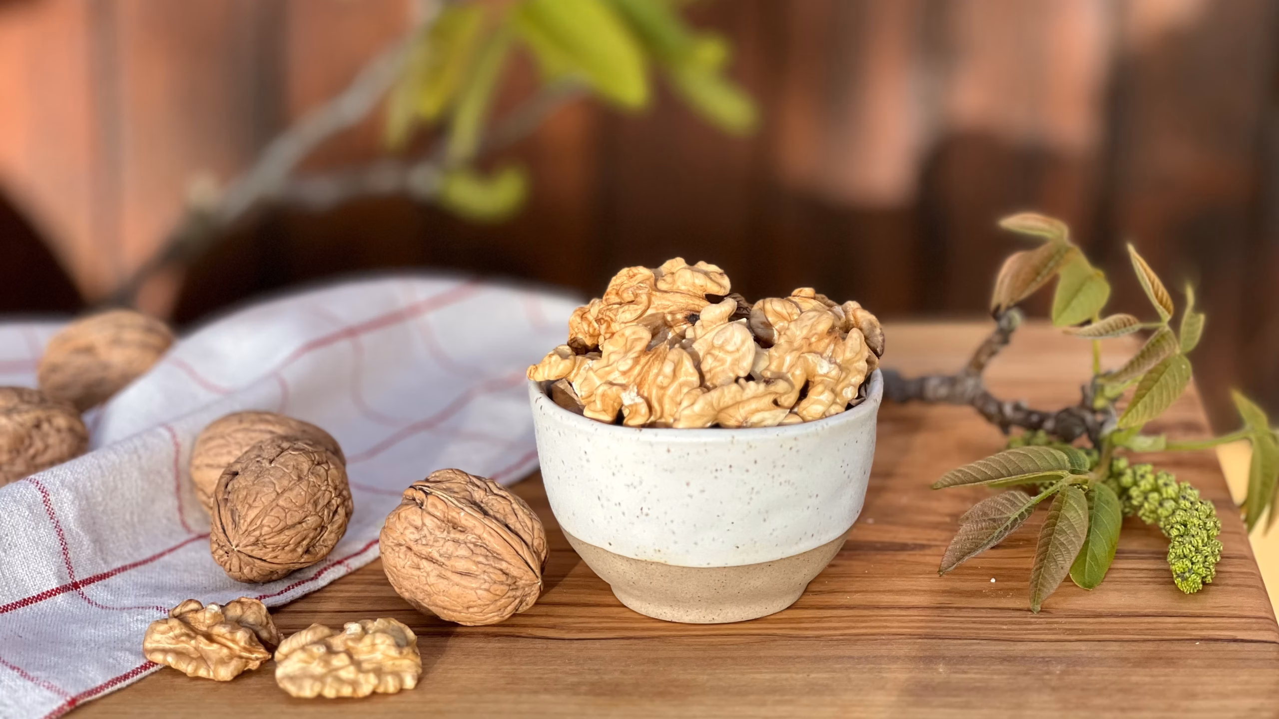 Noci biologiche crude integrali italiane AmicEarth – nutrienti, 100% naturali