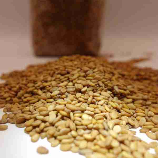 Italian Organic Raw Sesame Seeds AmicEarth